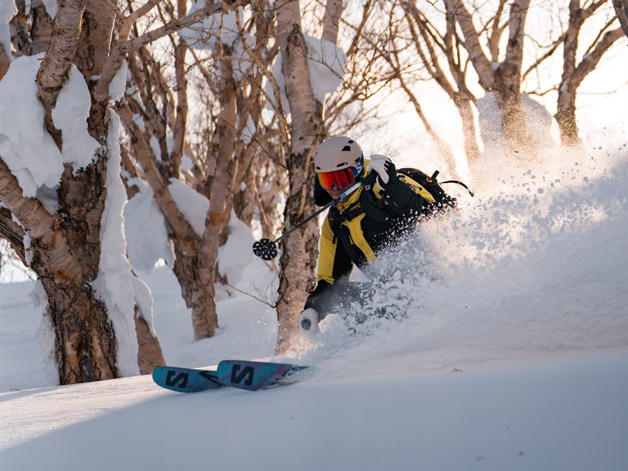 Snowboarder in deep powder among birch trees