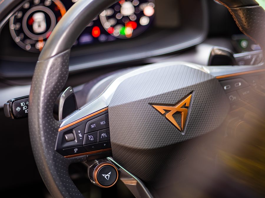 Steering wheel and dashboard detail