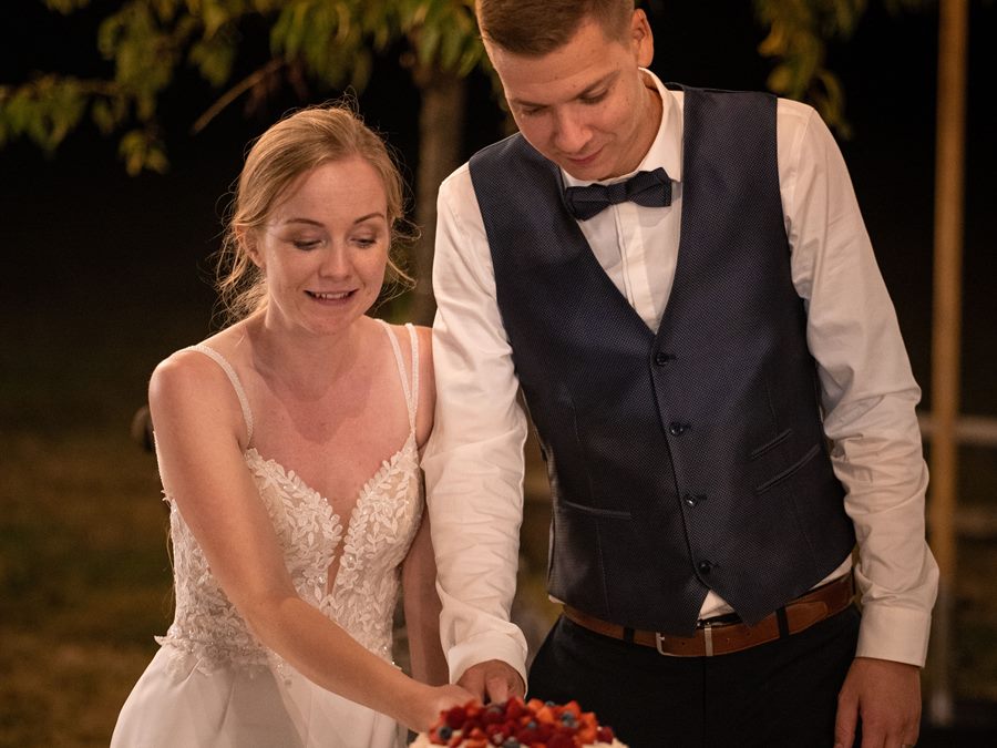 Cutting the wedding cake